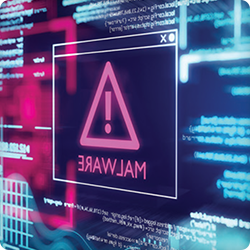 Eliminating the Embedded Malware Threat at the Binary Level